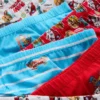 1,5–7 år | 6-pakning med Paw Patrol-underbukser