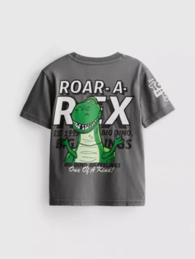1–9 år | Disney Pixars Toy Story Rex-skjorte