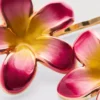 2-pakning med blomsterformede hårspenner