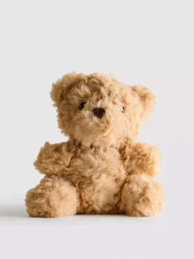 Liten teddybjørn