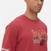 NBA Miami Heat-T-skjorte