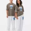 NFL Detroit Lions-logo-T-skjorte