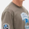 NFL Detroit Lions-logo-T-skjorte