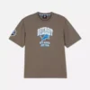 NFL Detroit Lions-logo-T-skjorte