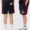 NFL Houston Texans shorts med snøring