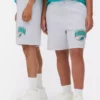 NFL Miami Dolphins-logo-Shorts