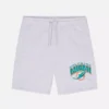 NFL Miami Dolphins-logo-Shorts
