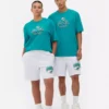 NFL Miami Dolphins-logo-T-skjorte