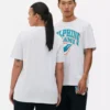 NFL Miami Dolphins-logo-T-skjorte