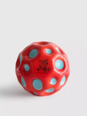 Paw Patrol-ball