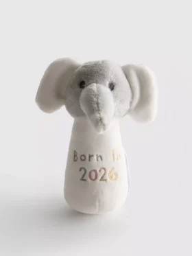 Rangle «Born in 2026»