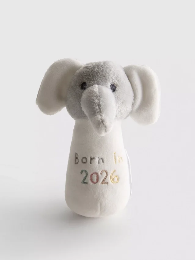 Rangle «Born in 2026»